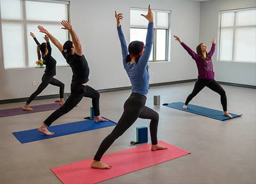 people doing yoga together